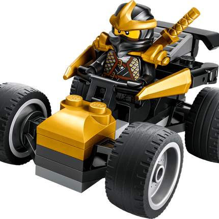 BAG. NINJAGO COLES CAR