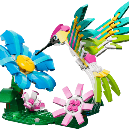 CREATOR. WILD ANIMALS COLORFUL HUMMINGBIRD