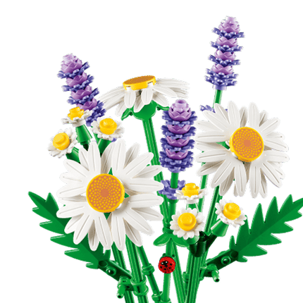 BOTANICAL COLL. DAISIES