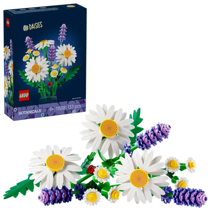 BOTANICAL COLL. DAISIES