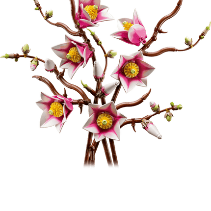 BOTANICAL COLL. MAGNOLIA