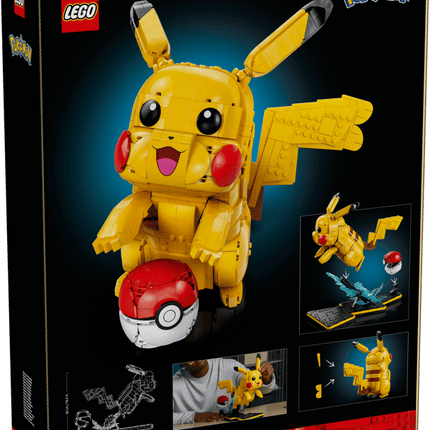 POKEMON. PIKACHU AND POKE BALL