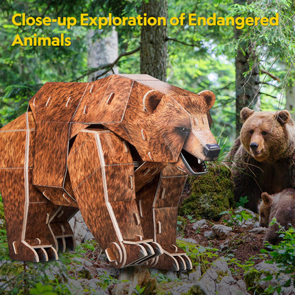 PUZZLE 3D. BROWN BEAR NAT GEO