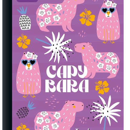 Libreta. Imagenes una linea 100h