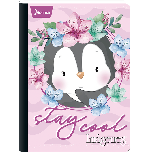 LIBRETA. IMAGENES DOBLE LINEA 100H