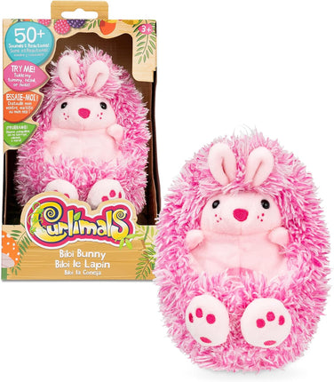 Climas. Bibi the bunny