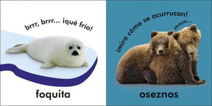 TOCA Y APRENDE: PEQUEÑOS ANIMALES