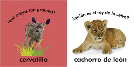 TOCA Y APRENDE: PEQUEÑOS ANIMALES