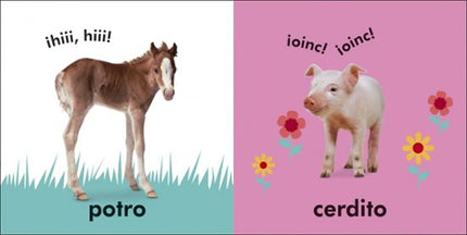 TOCA Y APRENDE: PEQUEÑOS ANIMALES