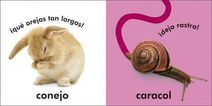 TOCA Y APRENDE: ANIMALES