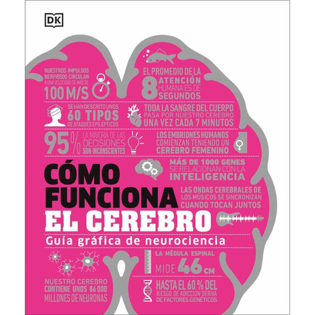 Cómo funciona el cerebro
