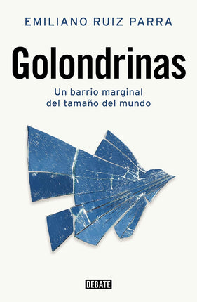 Golondrinas. Un barrio marginal del tamaño de el mundo