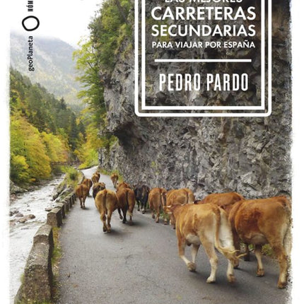 Las mejores carreteras secundarias para baja r por España