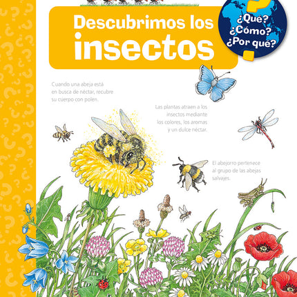 Descubrimos los insectos ¿qué? ¿Cómo? ¿Por qué?
