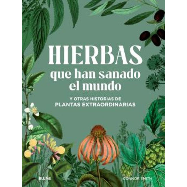 Hierbas qué han sanado el mundo