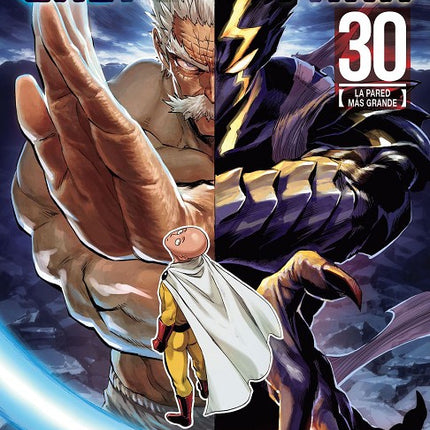 ONE PUNCH-MAN 30