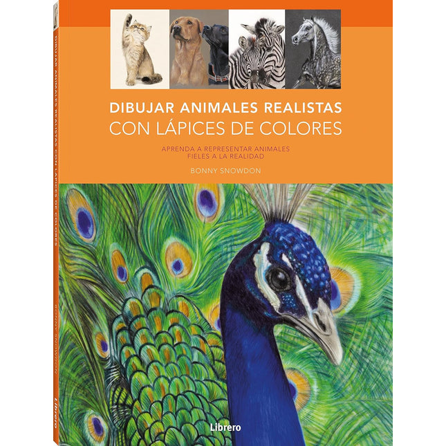 Dibujar y pintar animales realistas c/lápices de colores