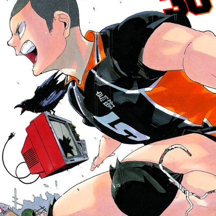 Haikyu!! Nº 30