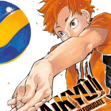 Haikyu!! Nº 33