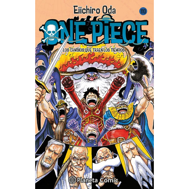 ONE PIECE Nº 110