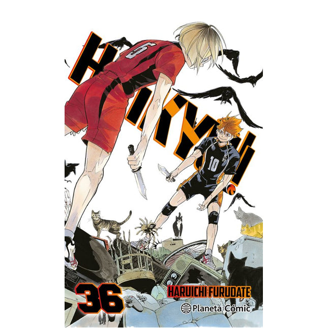 HAIKYU!! Nº 36