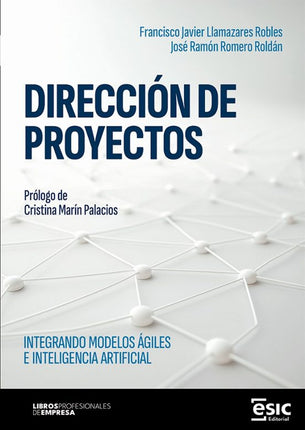 DIRECCION DE PROYECTOS