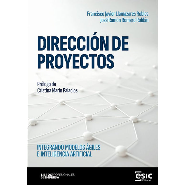 DIRECCION DE PROYECTOS
