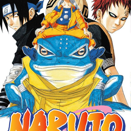 NARUTO Nº 13