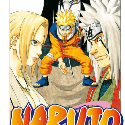 NARUTO Nº 19