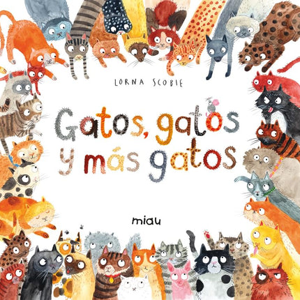 GATOS, GATOS Y MAS GATOS