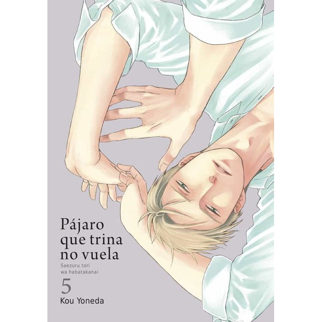 PAJARO QUE TRINA NO VUELA 5