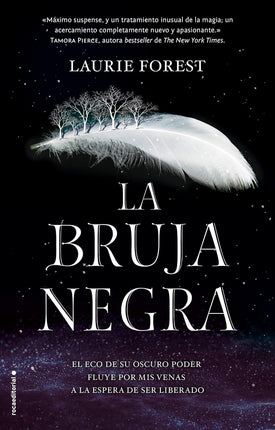LA BRUJA NEGRA (CRONICAS DE LA BRUJA NEGRA 1)