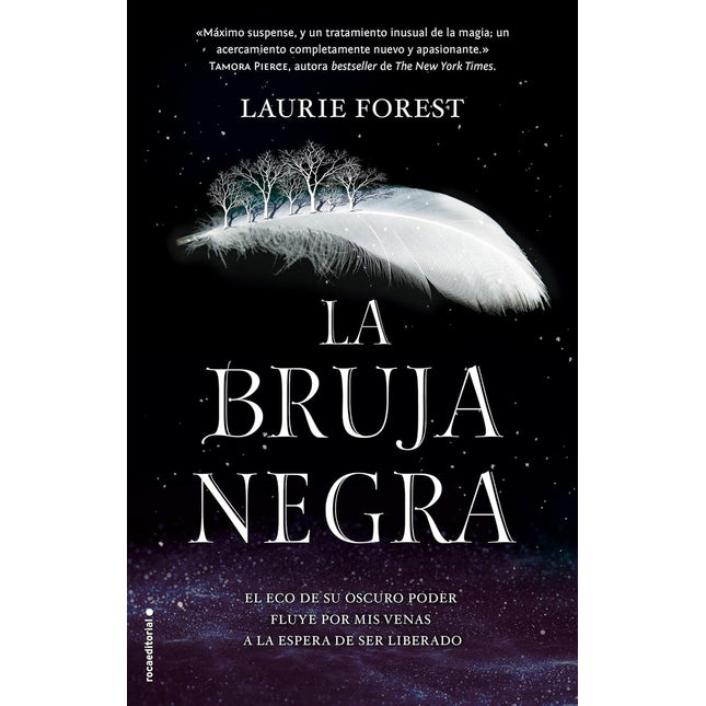 LA BRUJA NEGRA (CRONICAS DE LA BRUJA NEGRA 1)
