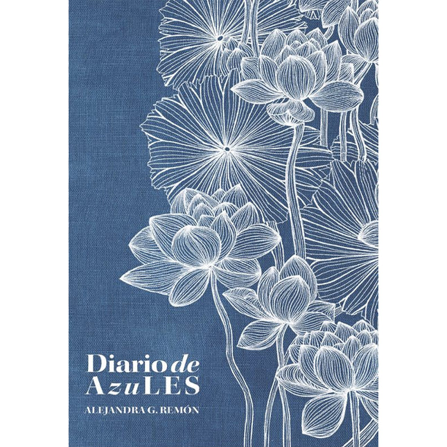 DIARIO DE AZULES