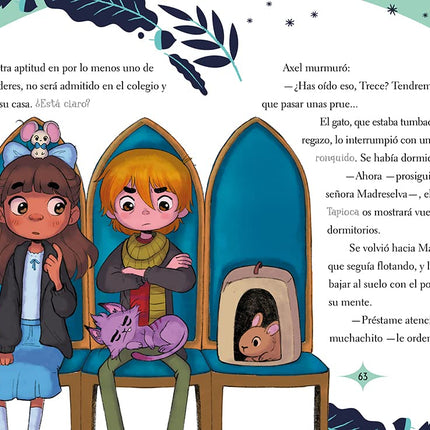 Colegio de poderes secretos 1. El gato número 13