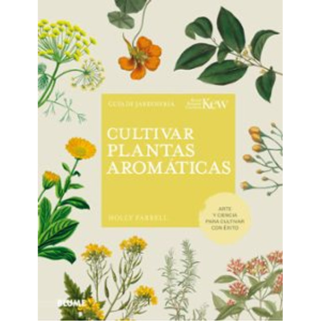 Cultivar plantas aromáticas