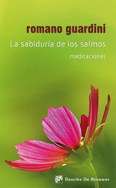 La sabiduría de los salmos: meditaciones