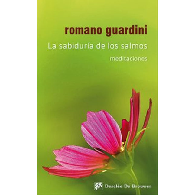 La sabiduría de los salmos: meditaciones