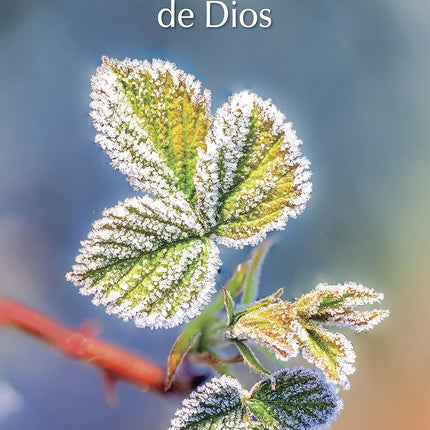 HUMILDAD Y EXPERIENCIA DE DIOS