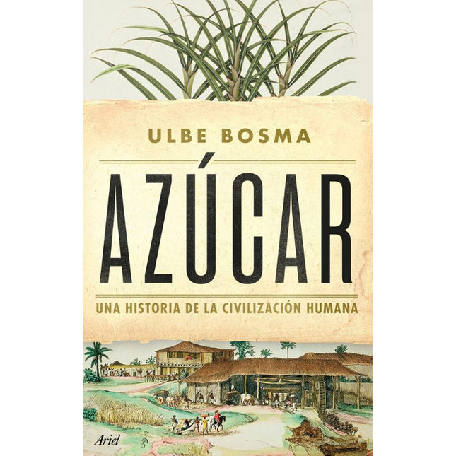 Azúcar