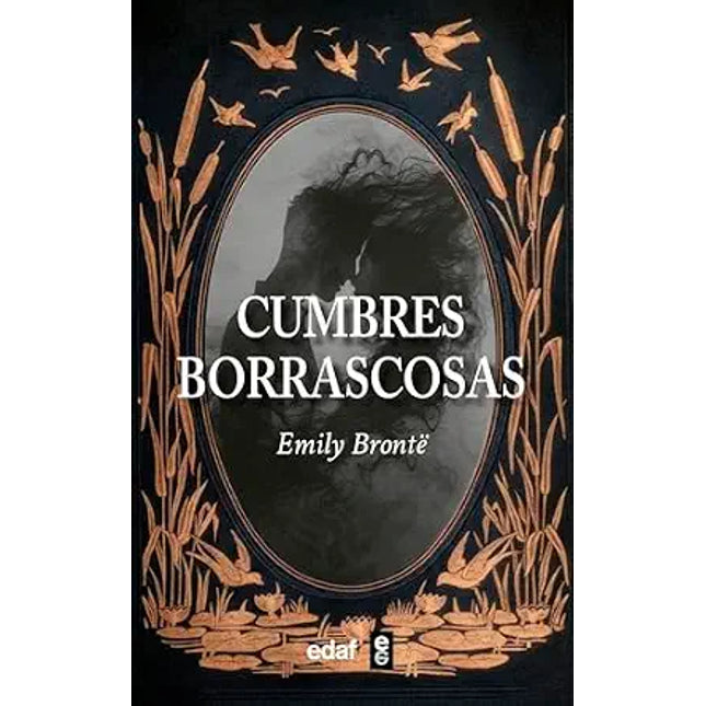 CUMBRES BORRASCOSAS