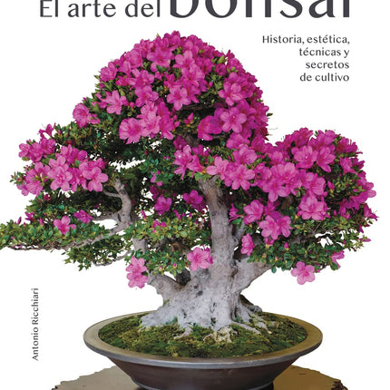 EL ARTE DEL BONSAI
