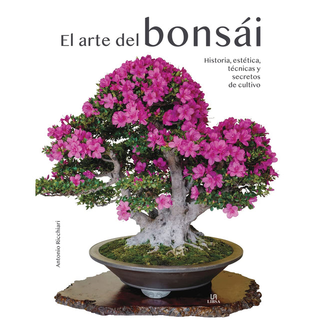 EL ARTE DEL BONSAI