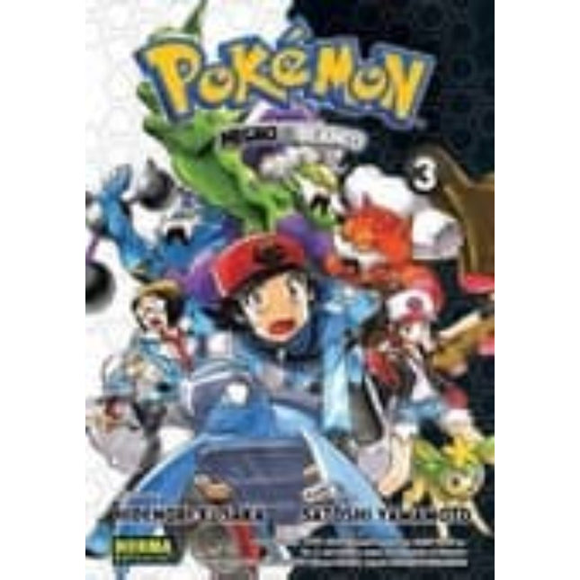 Pokémon 28. Negro y blanco 3