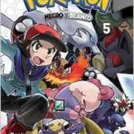 Pokémon 30. Negro y blanco 5