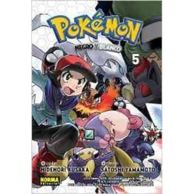 Pokémon 30. Negro y blanco 5
