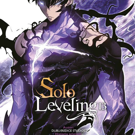 SOLO LEVELING 13