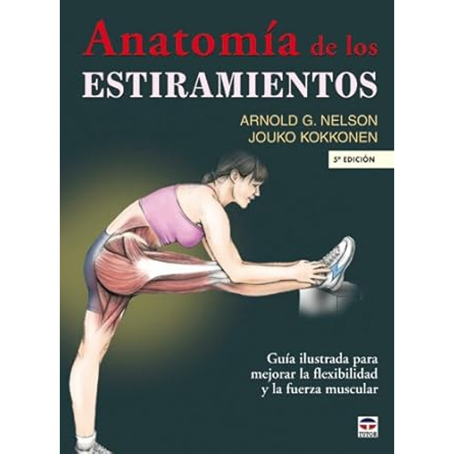 Anatomía de los estiramientos