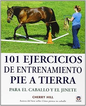 101 ejercicios de entrenamiento pie a tierra
