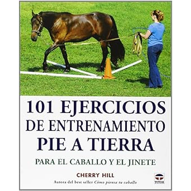 101 ejercicios de entrenamiento pie a tierra